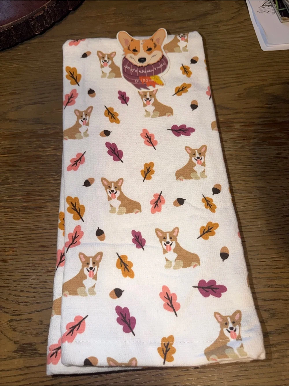 Bliss Studio playful corgi